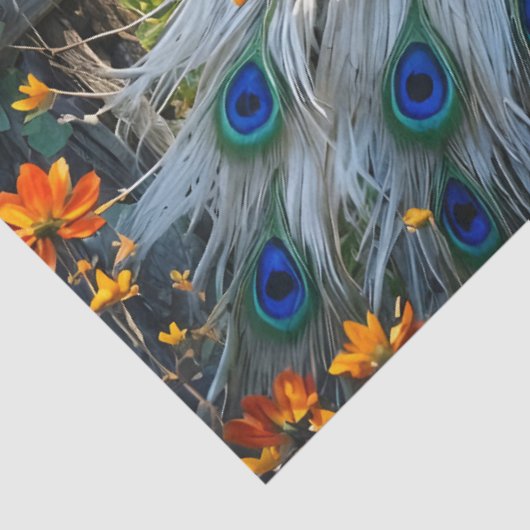 Piebald Peacock on Split rail fence Seidenpapier (Ausschnitt)