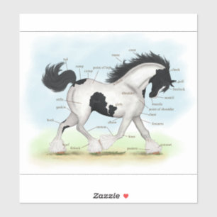 Piebald Sinti und Roma Horse Reittier-Anatomie Aufkleber