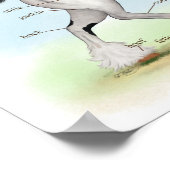 Piebald Sinti und Roma Horse Reittiere Anatomie Po Poster (Ecke)