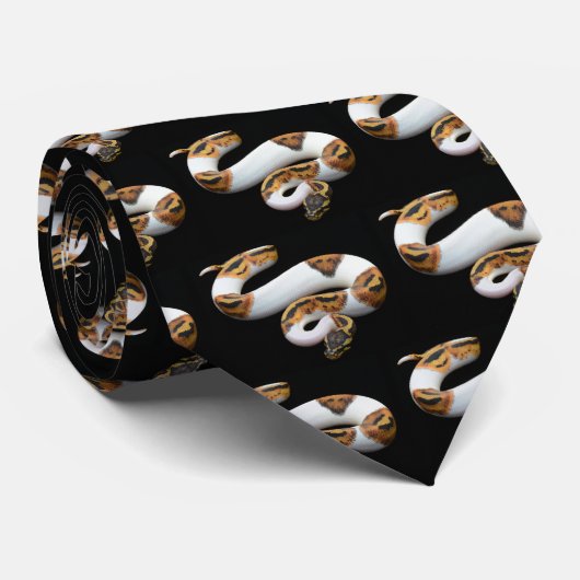 Piebaldballpythonschlange Krawatte (Gerollt)