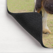 Piebaldpferd auf der Weide Mousepad (Ecke)