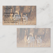 Piebaldrotwild Visitenkarte (Vorne/Hinten)