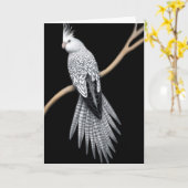 Pied Cockatil Card Karte (Gelbe Blume)