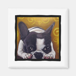 Pied Frenchie Nickerchen Magnet