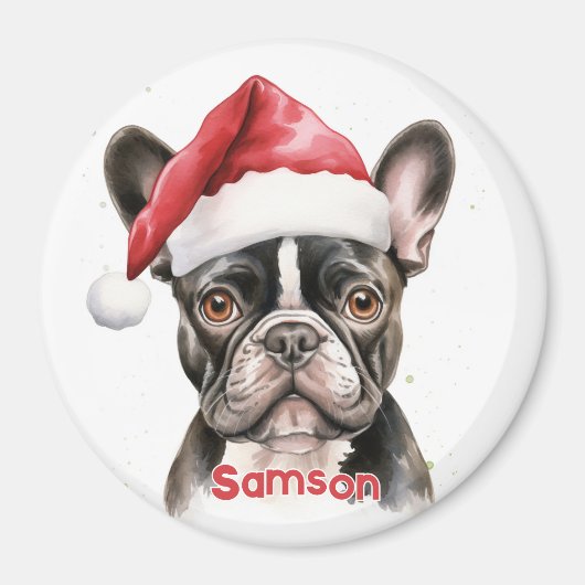 Pied Schwarz-weiß French Bulldog Christmas Magnet (Vorne)