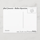 Pied Tamarin # 2 Postkarte (Rückseite)