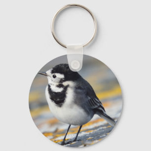 Pied Wagtail Keyring Schlüsselanhänger