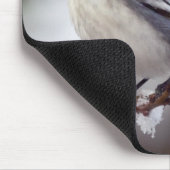 Pied Wagtail Mousemat Mousepad (Ecke)