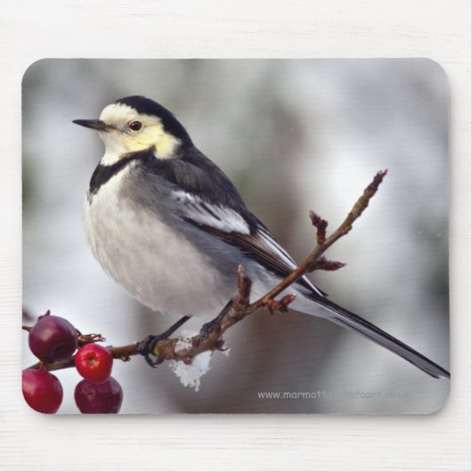 Pied Wagtail Mousemat Mousepad (Vorne)