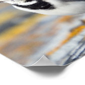 Pied Wagtail Poster (Ecke)