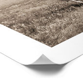 Piegan Blackfeet Chiefs Poster (Ecke)