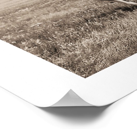 Piegan Blackfeet Chiefs Poster (Ecke)