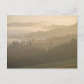Pieniny Nebel Postkarte (Vorderseite)