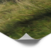 Pieniny Poster (Ecke)