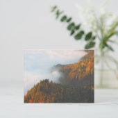 Pieniny-Wolken Herbst Postkarte (Stehend Vorderseite)