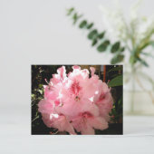 Pienza, Italien Postkarte (Stehend Vorderseite)