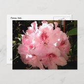 Pienza, Italien Postkarte (Vorne/Hinten)