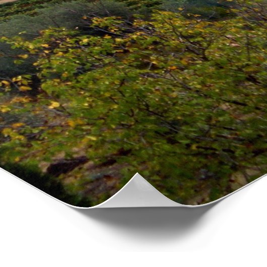 Pienza Landschaft Poster (Ecke)