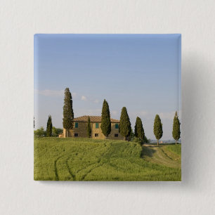 Pienza, Val d'Orcia, Provinz Siena, Toskana, Button