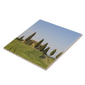 Pienza, Val d'Orcia, Provinz Siena, Toskana, Fliese (Seite)