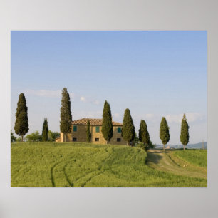 Pienza, Val d'Orcia, Provinz Siena, Toskana, Poster