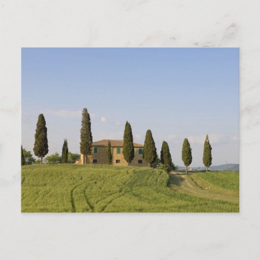 Pienza, Val d'Orcia, Provinz Siena, Toskana, Postkarte (Vorderseite)