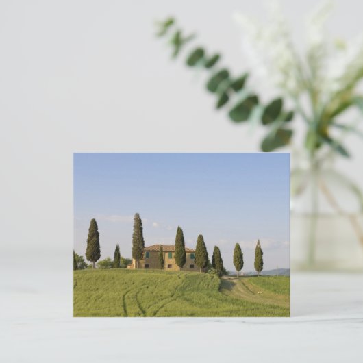 Pienza, Val d'Orcia, Provinz Siena, Toskana, Postkarte (Stehend Vorderseite)