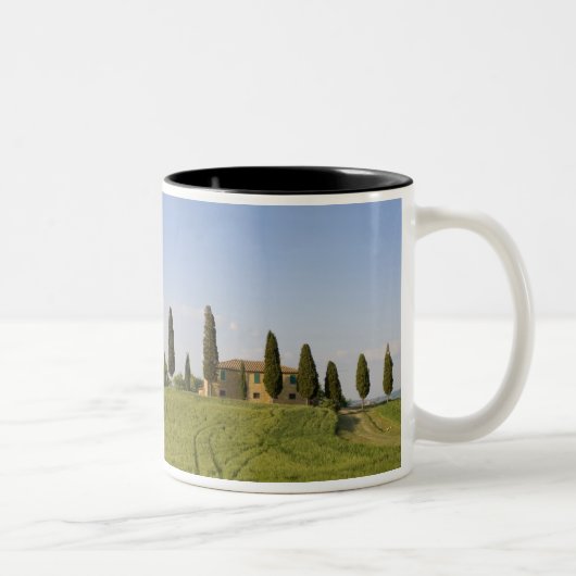 Pienza, Val d'Orcia, Provinz Siena, Toskana, Zweifarbige Tasse (Rechts)