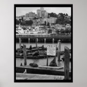 Pier 39 poster (Vorne)