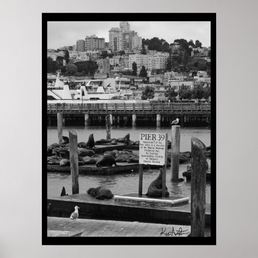 Pier 39 poster (Vorne)
