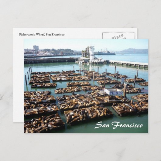 Pier 39 postkarte (Vorne/Hinten)