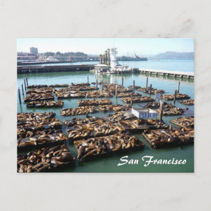 Pier 39 postkarte