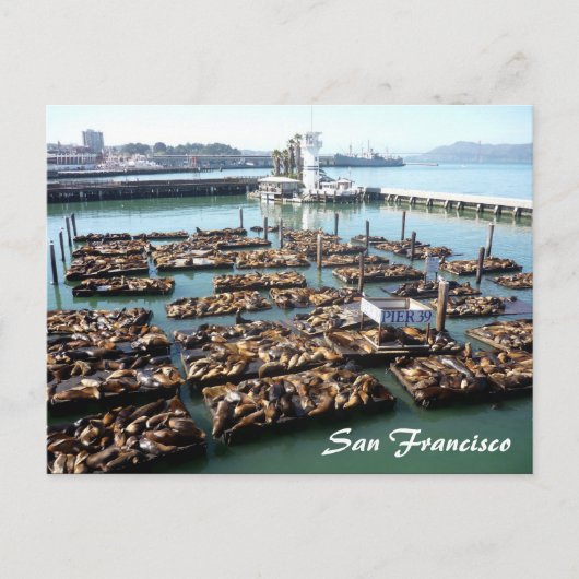 Pier 39 postkarte (Vorderseite)