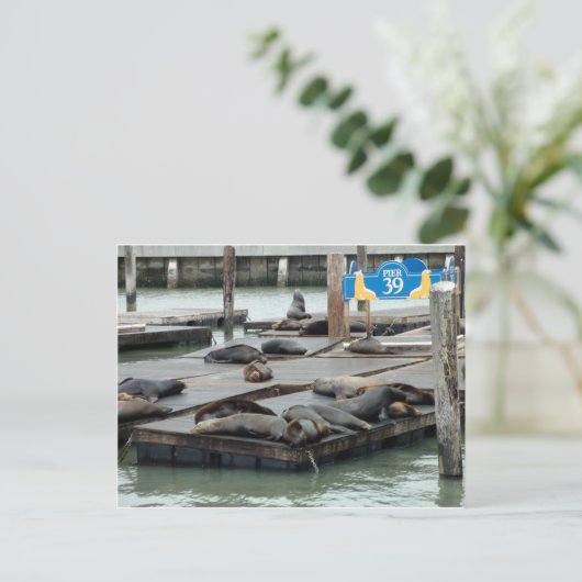 Pier 39 postkarte (Stehend Vorderseite)