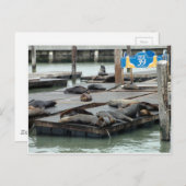 Pier 39 postkarte (Vorne/Hinten)