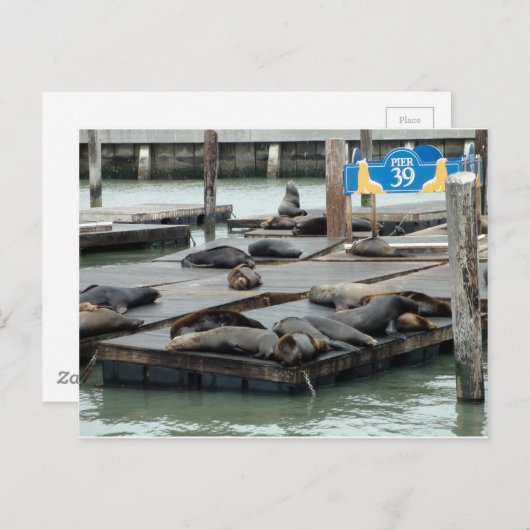 Pier 39 postkarte (Vorne/Hinten)