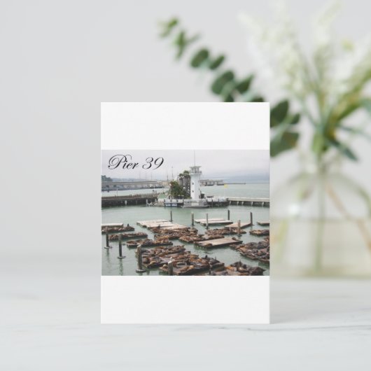 Pier 39 postkarte (Stehend Vorderseite)