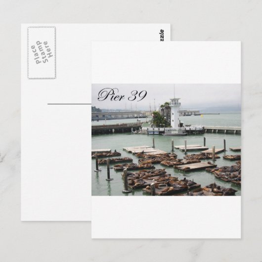 Pier 39 postkarte (Vorne/Hinten)