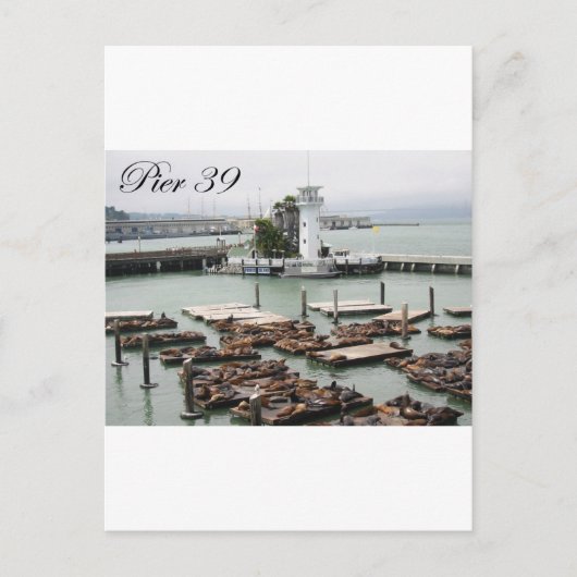 Pier 39 postkarte (Vorderseite)