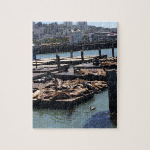 Pier 39 San Francisco Kalifornien Puzzle