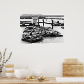 Pier 39 Sea Lions Poster (Küche)