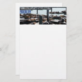 Pier 39 Seelöwen Briefpapier (Vorne/Hinten)