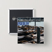 Pier 39 Seelöwen Button (Vorne & Hinten)