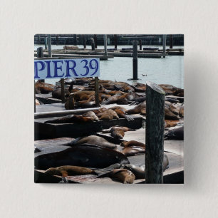 Pier 39 Seelöwen Button