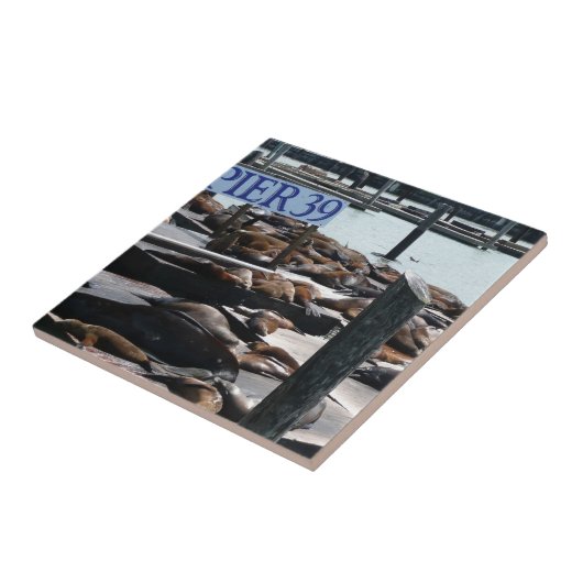 Pier 39 Seelöwen Fliese (Seite)