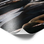 Pier 39 Seelöwen Fotodruck (Ecke)