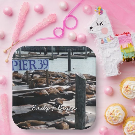 Pier 39 Seelöwen Pappteller (Party)