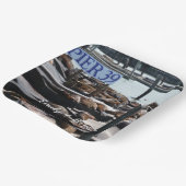 Pier 39 Seelöwen Pappteller (Gewinkelt)