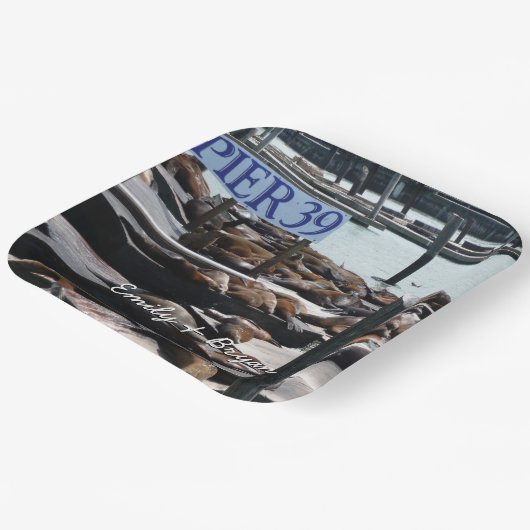 Pier 39 Seelöwen Pappteller (Gewinkelt)