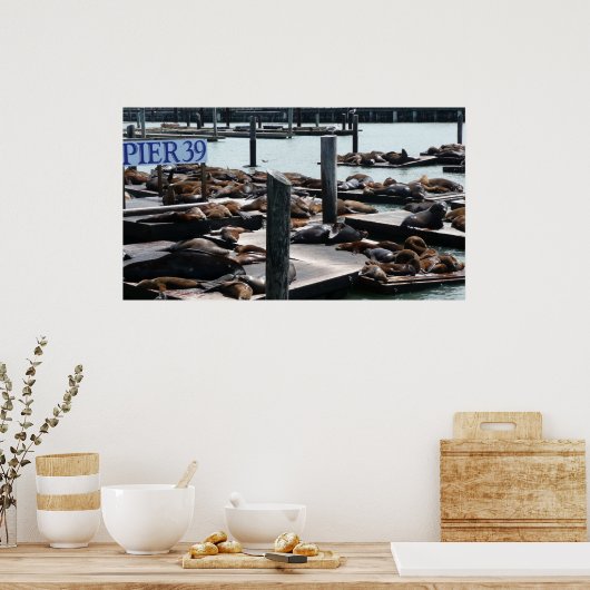 Pier 39 Seelöwen Poster (Küche)